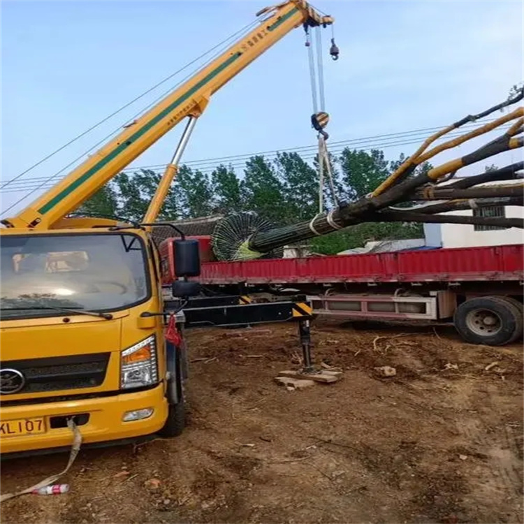 青山100吨吊车租赁费用怎么算？3大关键因素+省钱技巧全解析